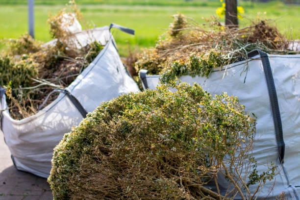 Best Construction Debris Removal  in , DE