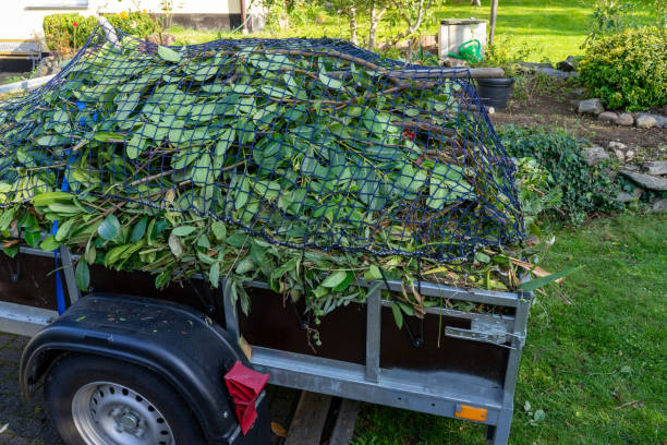  , DE Junk Removal Services Pros